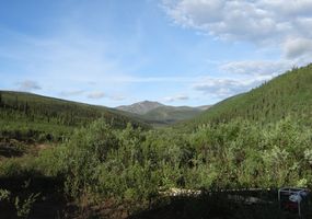 Landschaft im Yukon
