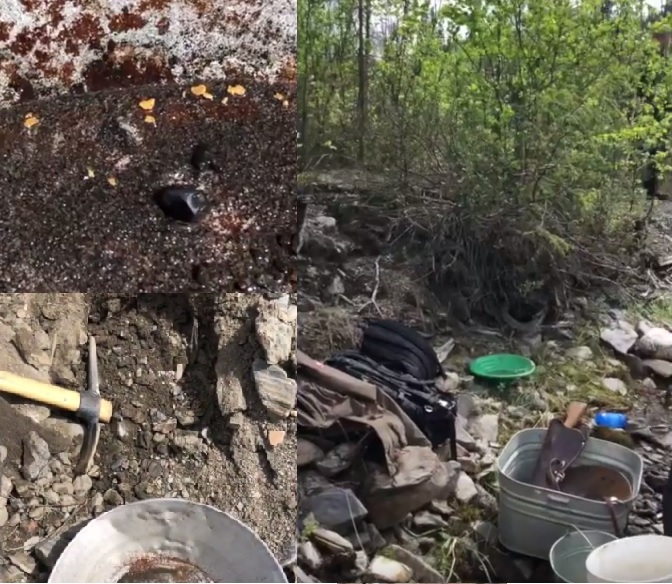Video Bruin Creek